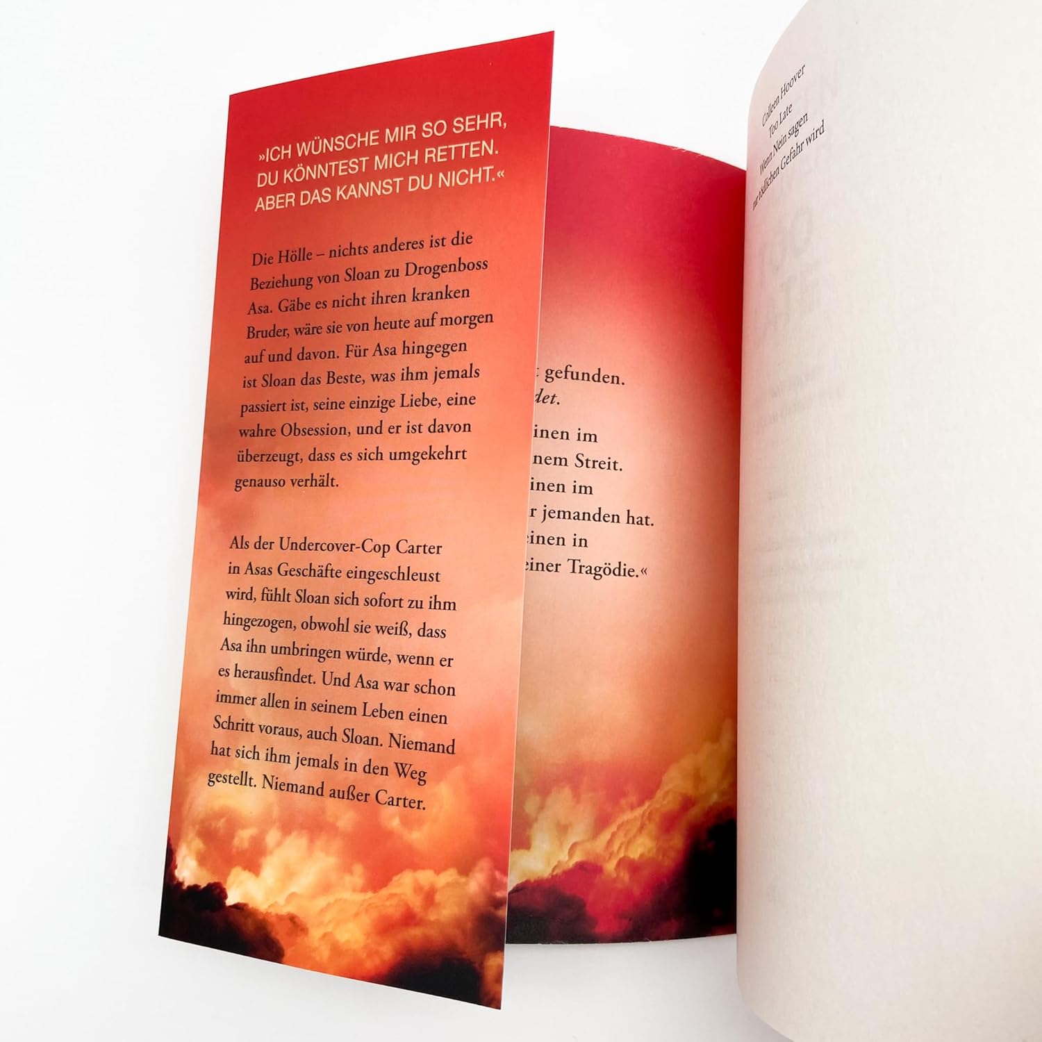 Too Late - Wenn Nein sagen zur tödlichen Gefahr wird - Image 5