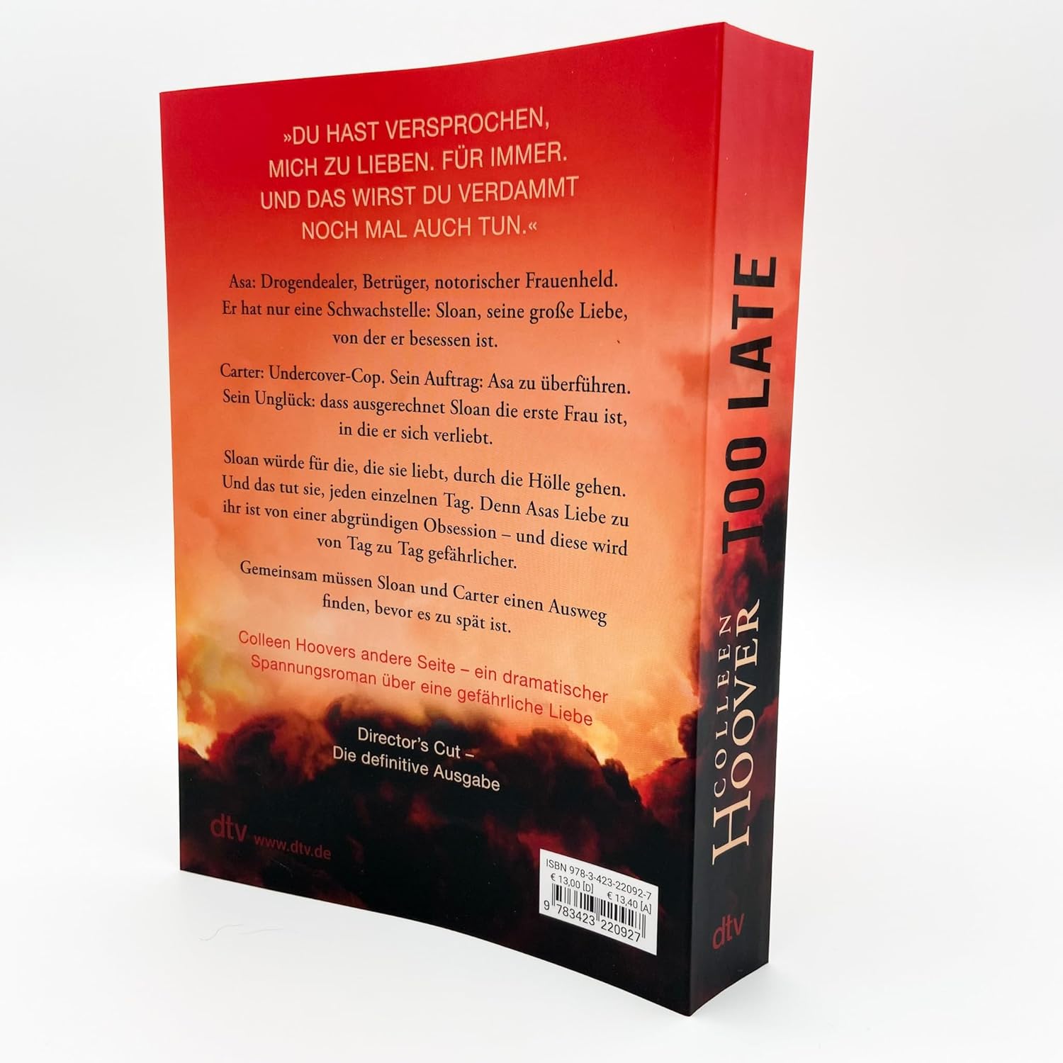 Too Late - Wenn Nein sagen zur tödlichen Gefahr wird - Image 4