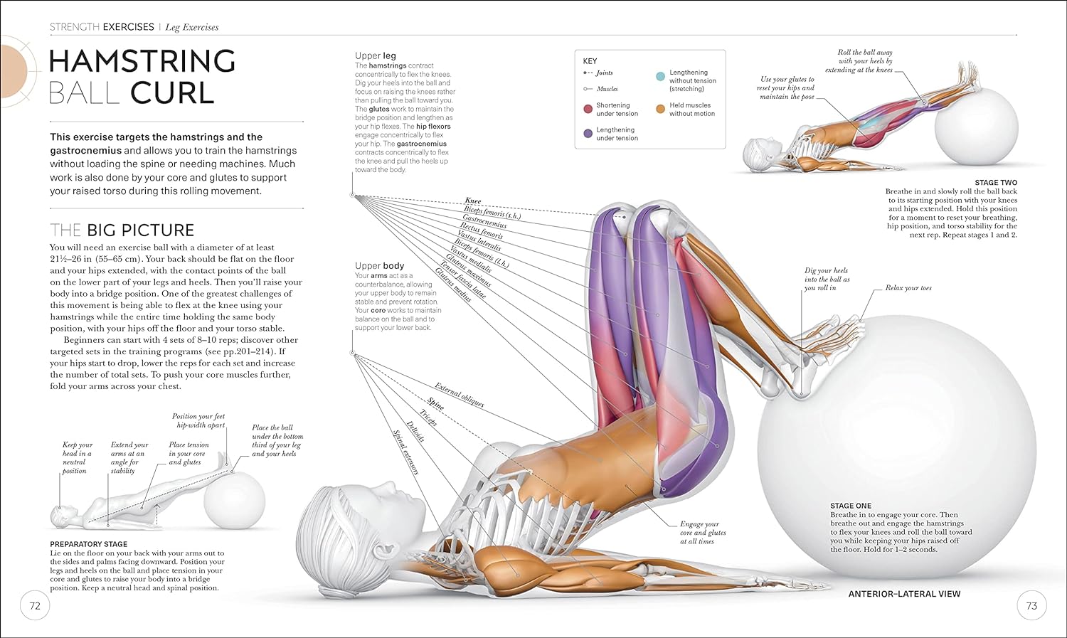 Science of Strength Training: Understand the anatomy and physiology to transform your body (DK Science of) - Image 6