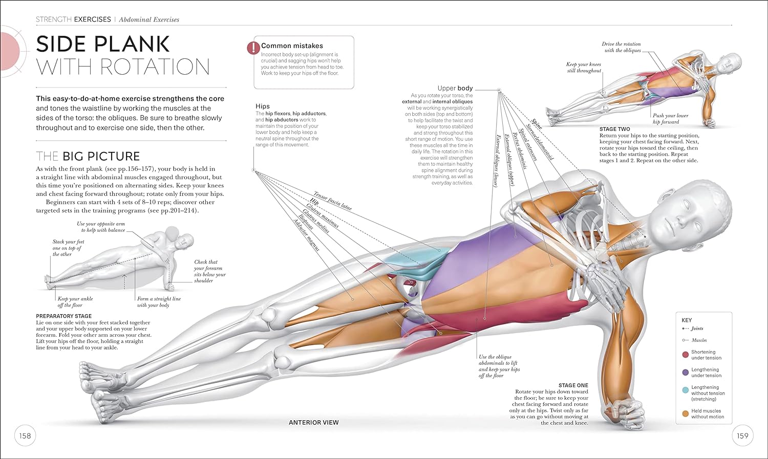 Science of Strength Training: Understand the anatomy and physiology to transform your body (DK Science of) - Image 8