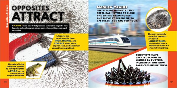 The Fascinating Facts Books for Kids 3 Book Box Set: 1,500 Incredible Facts about Animals, Oceans, and Science for Kids Ages 9-12 - Image 4