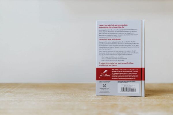 The Self-Aware Leader: Play to Your Strengths, Unleash Your Team - Image 3