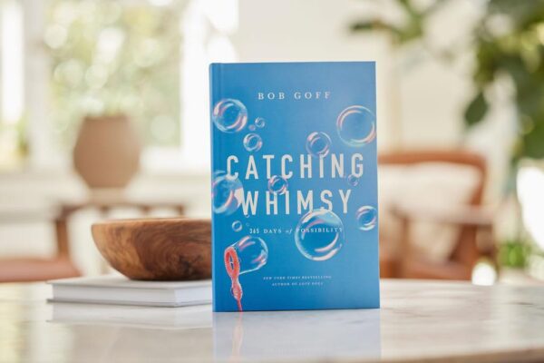 Catching Whimsy: 365 Days of Possibility - Image 3