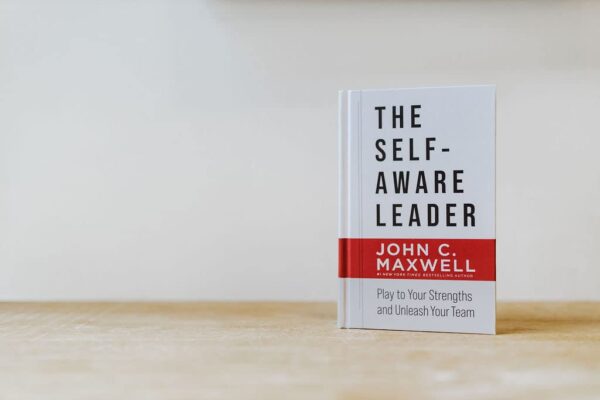 The Self-Aware Leader: Play to Your Strengths, Unleash Your Team - Image 5