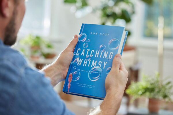 Catching Whimsy: 365 Days of Possibility - Image 6
