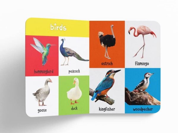 My First 100 Library: Boxset of 5 Early Learning Board Books - Image 7