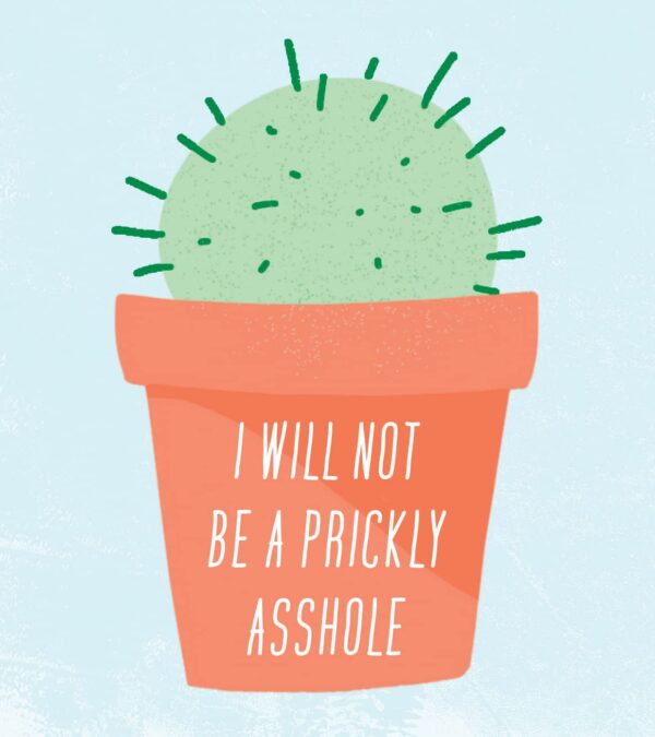 I've F*cking Got This Sticky Notes: 101 Affirmations to Swear and Share, a Funny and Motivational White Elephant Gift (Calendars & Gifts to Swear By) - Image 4