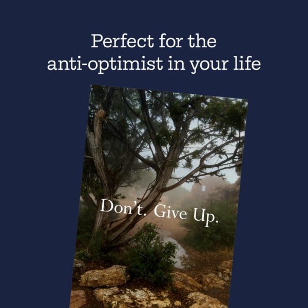 Disappointing Affirmations - Image 10