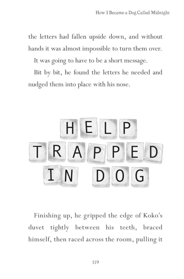 How I Became a Dog Called Midnight: A magical adventure from the bestselling author of The Day I Fell Into a Fairytale - Image 5