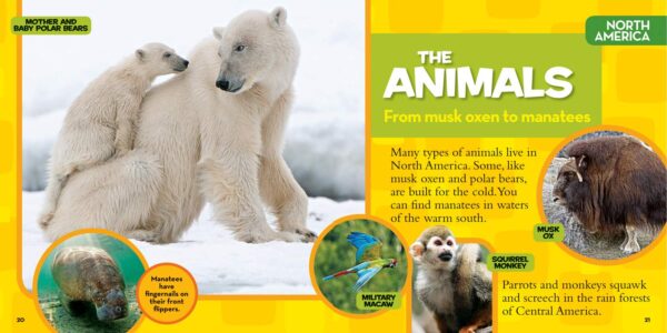 National Geographic Little Kids First Big Book of the World - Image 4