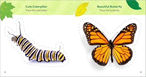 The Backyard Bug Book for Kids: Storybook, Insect Facts, and Activities (Let's Learn About Bugs and Animals) - Image 6
