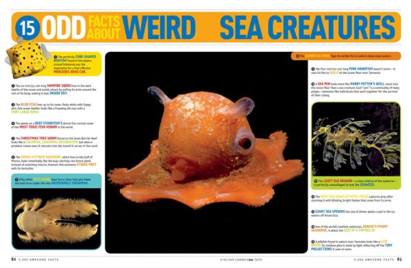 5,000 Awesome Facts (About Everything!) - Image 5