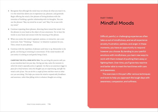 Practicing Mindfulness: 75 Essential Meditations to Reduce Stress, Improve Mental Health, and Find Peace in the Everyday - Image 8