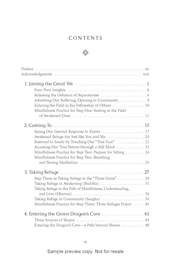 Mindfulness and the 12 Steps: Living Recovery in the Present Moment - Image 3