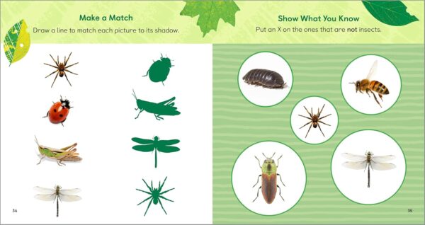 The Backyard Bug Book for Kids: Storybook, Insect Facts, and Activities (Let's Learn About Bugs and Animals) - Image 4