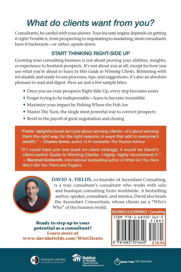 The Irresistible Consultant's Guide to Winning Clients: 6 Steps to Unlimited Clients & Financial Freedom - Image 3