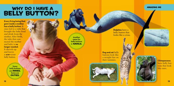 National Geographic Little Kids First Big Book of Why (National Geographic Little Kids First Big Books) - Image 3