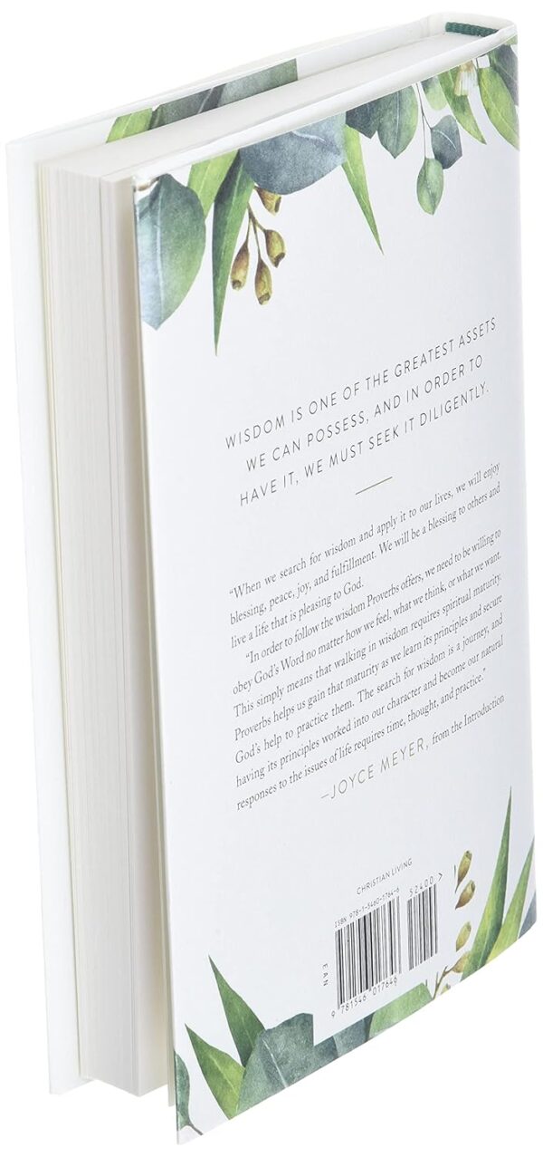 In Search of Wisdom: Life-Changing Truths in the Book of Proverbs - Image 5