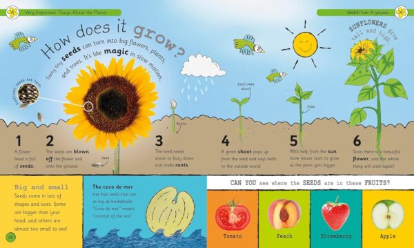 My Encyclopedia of Very Important Things: For Little Learners Who Want to Know Everything (My Very Important Encyclopedias) - Image 3