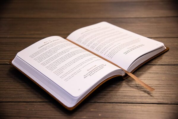 Radical Wisdom: A Daily Journey For Leaders - Image 5