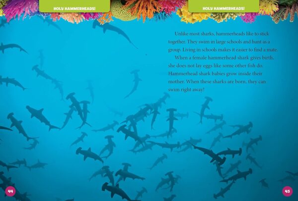 National Geographic Kids 5-Minute Shark Stories (5-Minute Stories) - Image 3