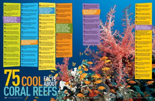 5,000 Awesome Facts (About Everything!) - Image 8