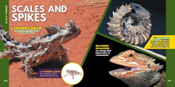 The Fascinating Facts Books for Kids 3 Book Box Set: 1,500 Incredible Facts about Animals, Oceans, and Science for Kids Ages 9-12 - Image 7