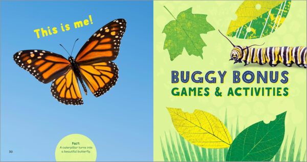 The Backyard Bug Book for Kids: Storybook, Insect Facts, and Activities (Let's Learn About Bugs and Animals) - Image 7