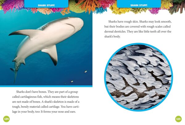National Geographic Kids 5-Minute Shark Stories (5-Minute Stories) - Image 5