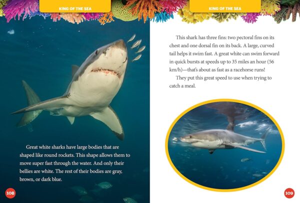 National Geographic Kids 5-Minute Shark Stories (5-Minute Stories) - Image 4