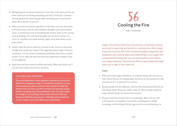 Practicing Mindfulness: 75 Essential Meditations to Reduce Stress, Improve Mental Health, and Find Peace in the Everyday - Image 7