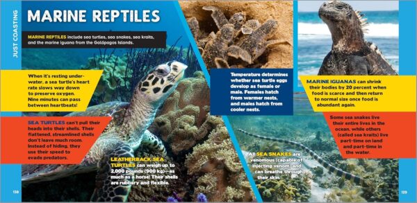 The Fascinating Facts Books for Kids 3 Book Box Set: 1,500 Incredible Facts about Animals, Oceans, and Science for Kids Ages 9-12 - Image 5