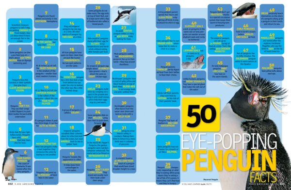 5,000 Awesome Facts (About Everything!) - Image 7