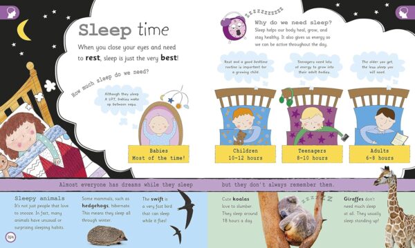 My Encyclopedia of Very Important Things: For Little Learners Who Want to Know Everything (My Very Important Encyclopedias) - Image 11