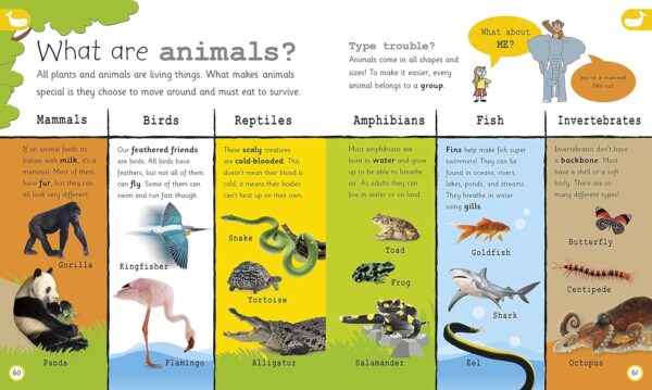 My Encyclopedia of Very Important Things: For Little Learners Who Want to Know Everything (My Very Important Encyclopedias) - Image 10